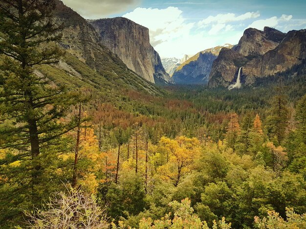 Foto schoonheid in de natuur in yosemite valley