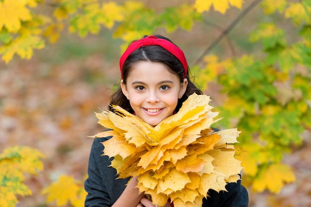 Schoonheid in herfststijl meisje verzamelt gele esdoornbladeren kind in park herfst is een tijd voor school goed weer om buiten te wandelen kind houd herfstbladeren schoonheid van de natuur gelukkig retro meisje
