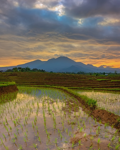 schoonheid van het natuurlijke panorama van groene rijstterrassen in het dorp met bergen en zonsopgang