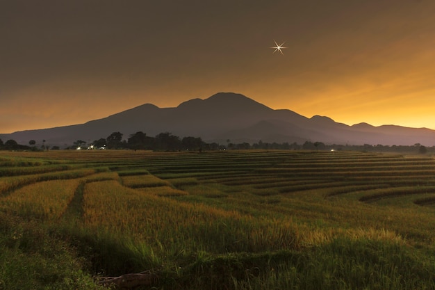 Schoonheid vóór zonsopgang bij rijstvelden in Noord Bengkulu Indonesië