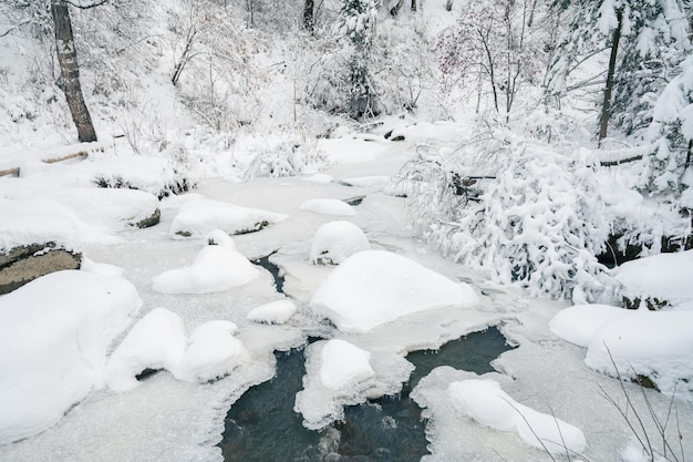 Schoonheid winterlandschap met mooie bomen en rivier onder de sneeuw