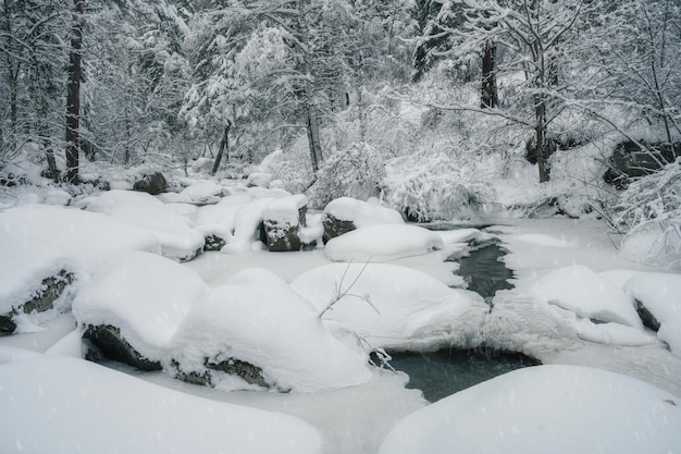 Schoonheid winterlandschap met mooie bomen en rivier onder de sneeuw