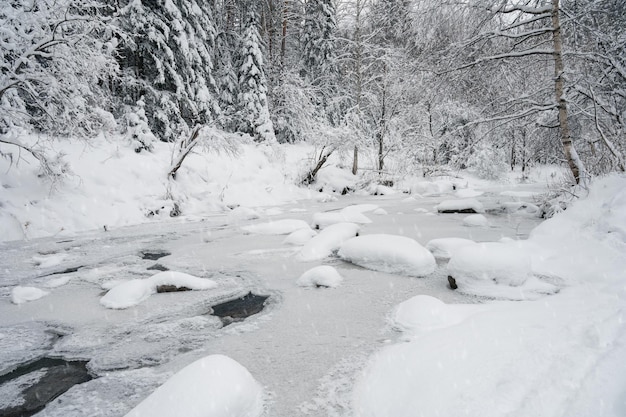 Schoonheid winterlandschap met mooie bomen onder de sneeuw