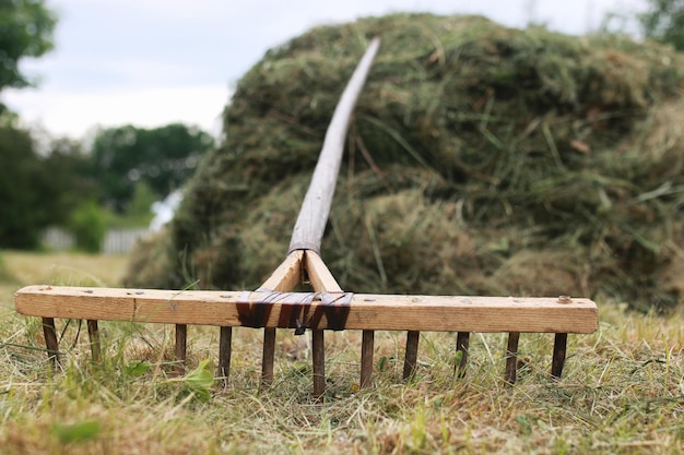 Schoonmaken met een hark op een boerderij