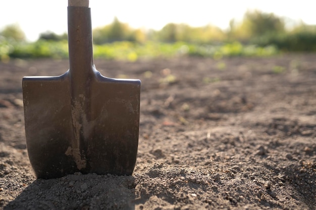 Foto schop in de grond. tuin werk