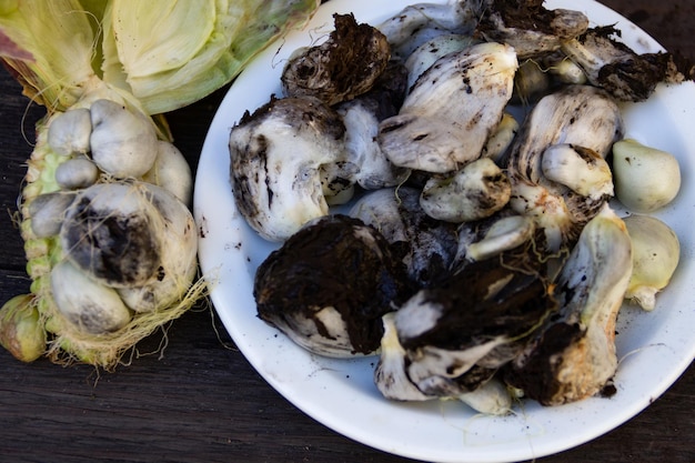 Schotel met gepelde huitlacoche en kookingrediënten