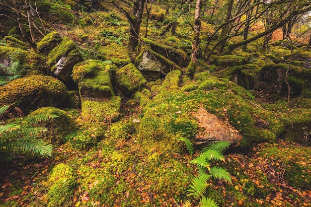 Schotland herfst