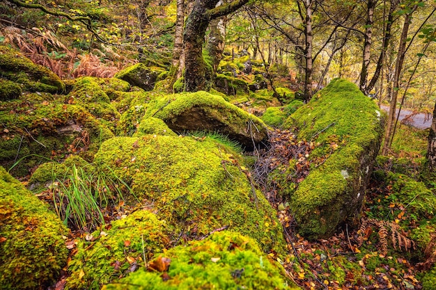 Schotland herfst