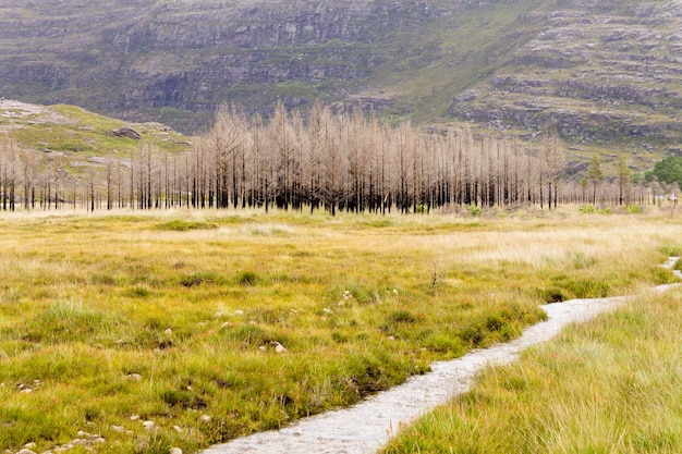 Schotse rivier trog platteland. perspectief uitzicht op de rivier. schotland panorama