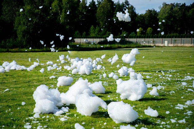 Schuim op het gras op het schuimfeest