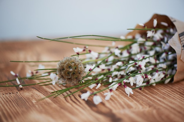 Schurft in de vorm van stekels op een neutrale lichte achtergrond bloemenboeket met schaduw