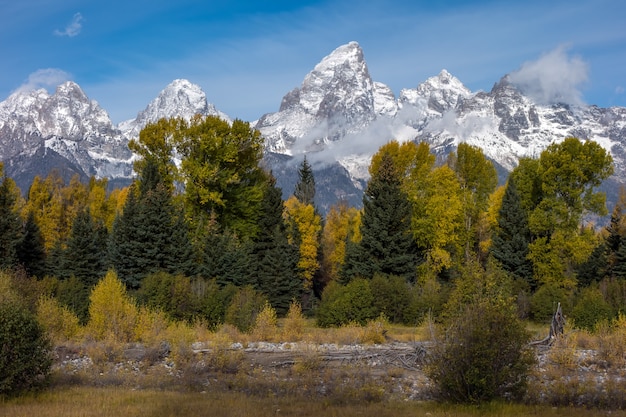 Schwabachers Landing