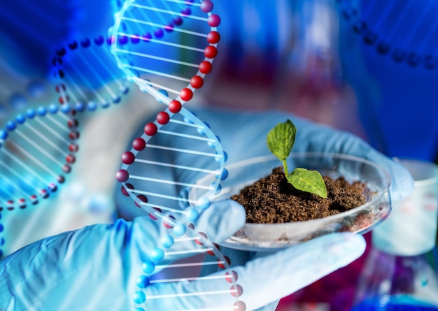 science, biology, ecology, research and people concept - close up of scientist hands holding petri dish with plant and soil sample in bio laboratory over dna molecule structure