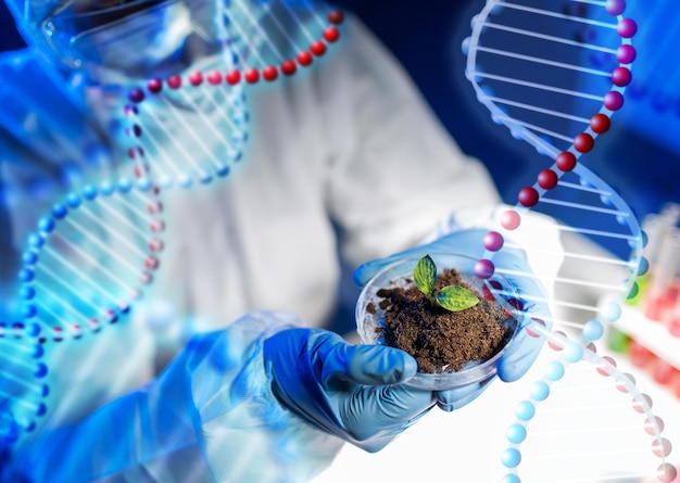 science, biology, ecology, research and people concept - close up of scientist hands holding petri dish with plant and soil sample in bio laboratory over dna molecule structure