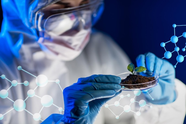 과학, 생물학, 생태학, 연구 및 사람 개념 - 바이오 실험실에서 식물 및 토양 샘플이 포함된 페트리 접시를 들고 있는 젊은 여성 과학자의 클로즈업