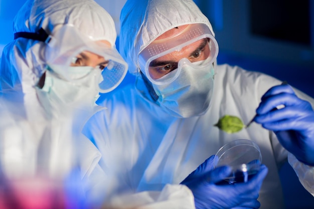 science, biology and people concept - close up of scientists hand with green leaf sample making research in clinical laboratory