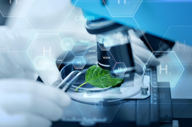 science, chemistry, biology and people concept - close up of scientist hand with microscope and green leaf making research in clinical laboratory over hydrogen chemical formula