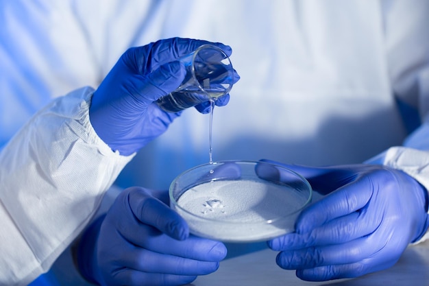 science, chemistry and people concept - close up of scientists hands with glass and chemical powder in petri dish making test or research at laboratory