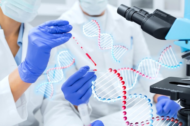 Science, chemistry, technology, biology and people concept - close up of scientists hands with pipette and petri dish making research in clinical laboratory