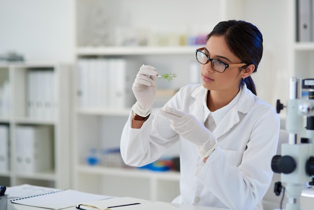 Science is a discipline for the curious Shot of a young scientist working with plant samples in a lab