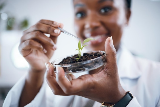 科学実験室の黒人女性と農業研究のためのペトリ皿の植物持続可能性研究と食糧安全保障成長土壌環境にやさしいテストと科学者または専門家の肖像画