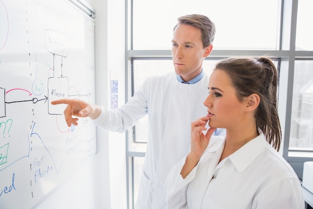 Science student and lecturer looking at whiteboard