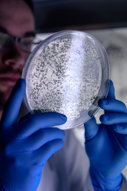 Foto colture scientifiche di manipolazione in piastre di petri nel frigorifero da laboratorio di bioscienze.