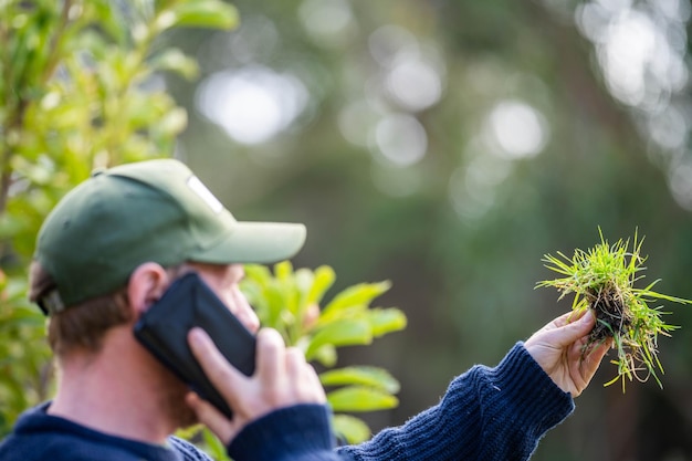 Foto scienziato agronomo agricoltore che osserva campioni di terreno e erba in un campo in primavera osservando la crescita delle piante e la salute del suolo utilizzando un telefono e la tecnologia per dire connesso in australia