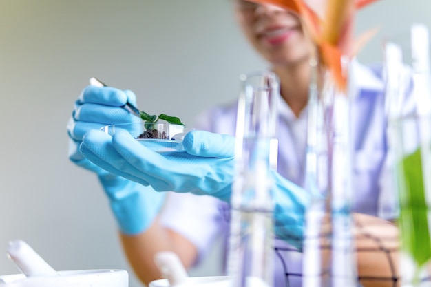 Photo scientist analyzing a plant