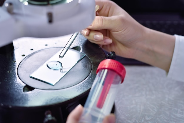 Scientist chemist examines the sample