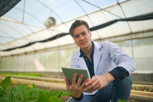 Photo scientist collecting hydroponic vegetables sample for analysis