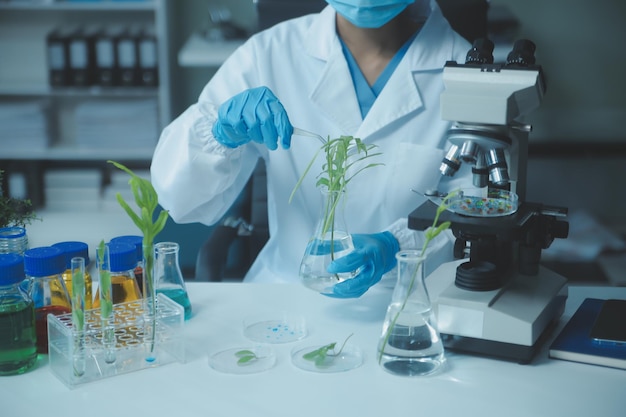 Scientist cutting plant tissue culture in petri dish performing laboratory experiments Small plant testing Asparagus and other tropical plant Thailand Soft light closeup