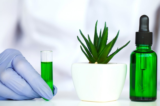 Lo scienziato, dermatologo, produce in laboratorio il prodotto cosmetico con erbe naturali organiche.