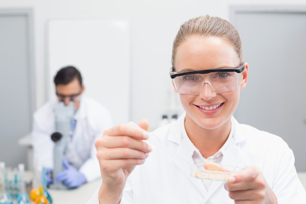 Scientist examining petri dish 