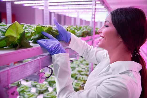 Scientist examining plants in modern biotechnology lab