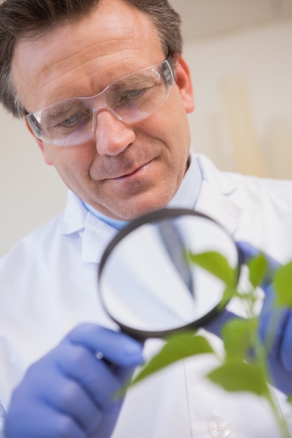 Photo scientist examining plants with magnifying glass