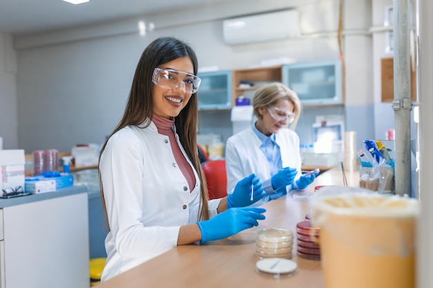 実験室でペトリ皿の溶液を調べる科学者 Lab Scientist Examining and using Petri Dish Lab Experiment.Researcher がペトリ皿の培養物を調べる