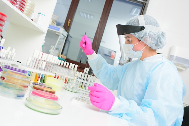 Scientist fills a Petri dish with a layer of nutrient medium and cultivates colonies of microorganisms. Bacteriological laboratory, bacterial analysis