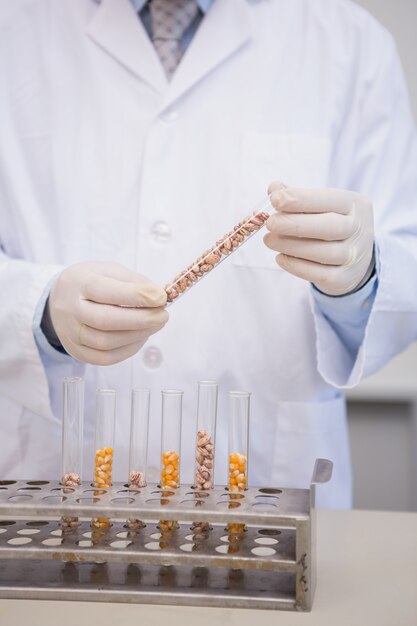 Scientist holding kernel in tube 