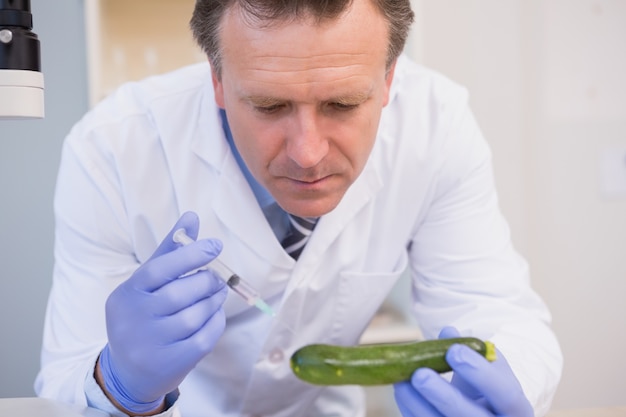 Photo scientist injecting a courgette