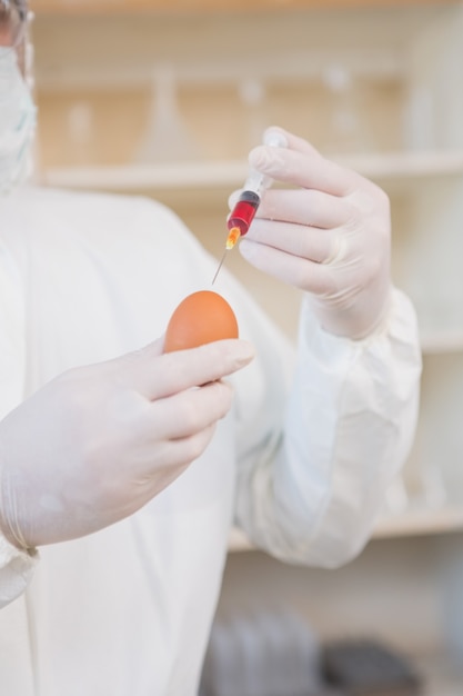 Scientist injecting egg 