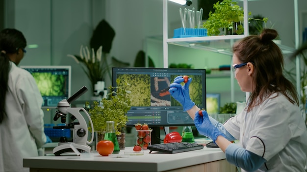 Photo scientist researcher injecting strawberry with pesticides