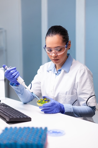 Scientist researcher putting medical solution using micropippete in petri dish with bacteria