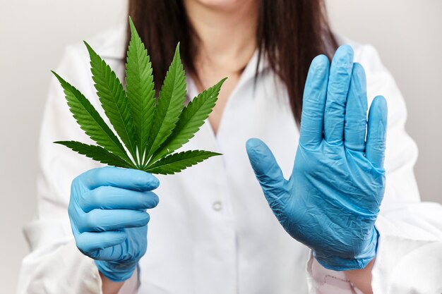 Scientist shows sign stop of using marihuana plant as a drug.