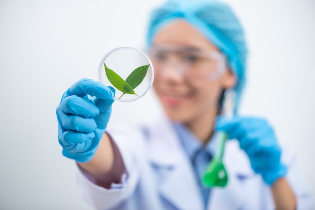 The scientist test the natural product extract, oil and biofuel solution, in the chemistry laboratory.