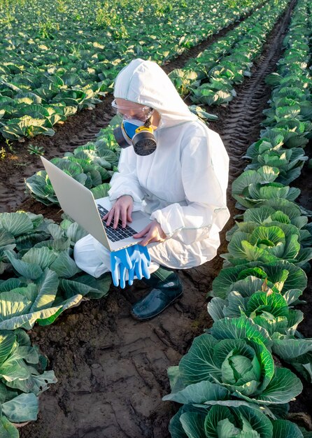 Scientist wearing a white protective equipment, chemical mask and glasses uses Laptop on farm field.