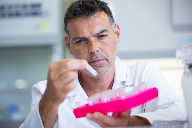 scientist working in biology laboratory