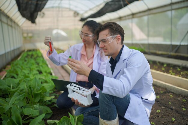 水耕栽培温室農場で働く科学者クリーンな食品と食品科学のコンセプト