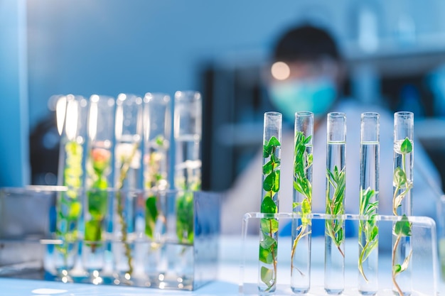 scientist working at laboratory overtime late at night looking to side confident research work
