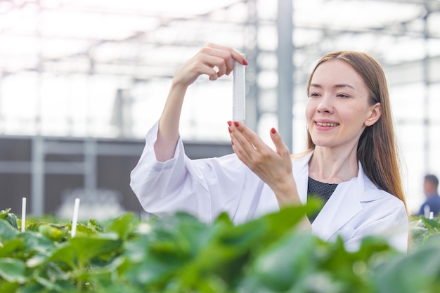 유기 농업 농장에서 일하는 과학자는 의학적 개념을 위해 식물에서 새로운 화학 공식 추출물을 연구합니다.